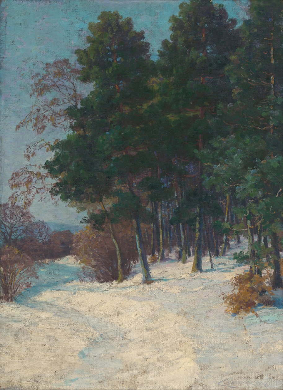 Wald im Winter von Ludovit Cordak
