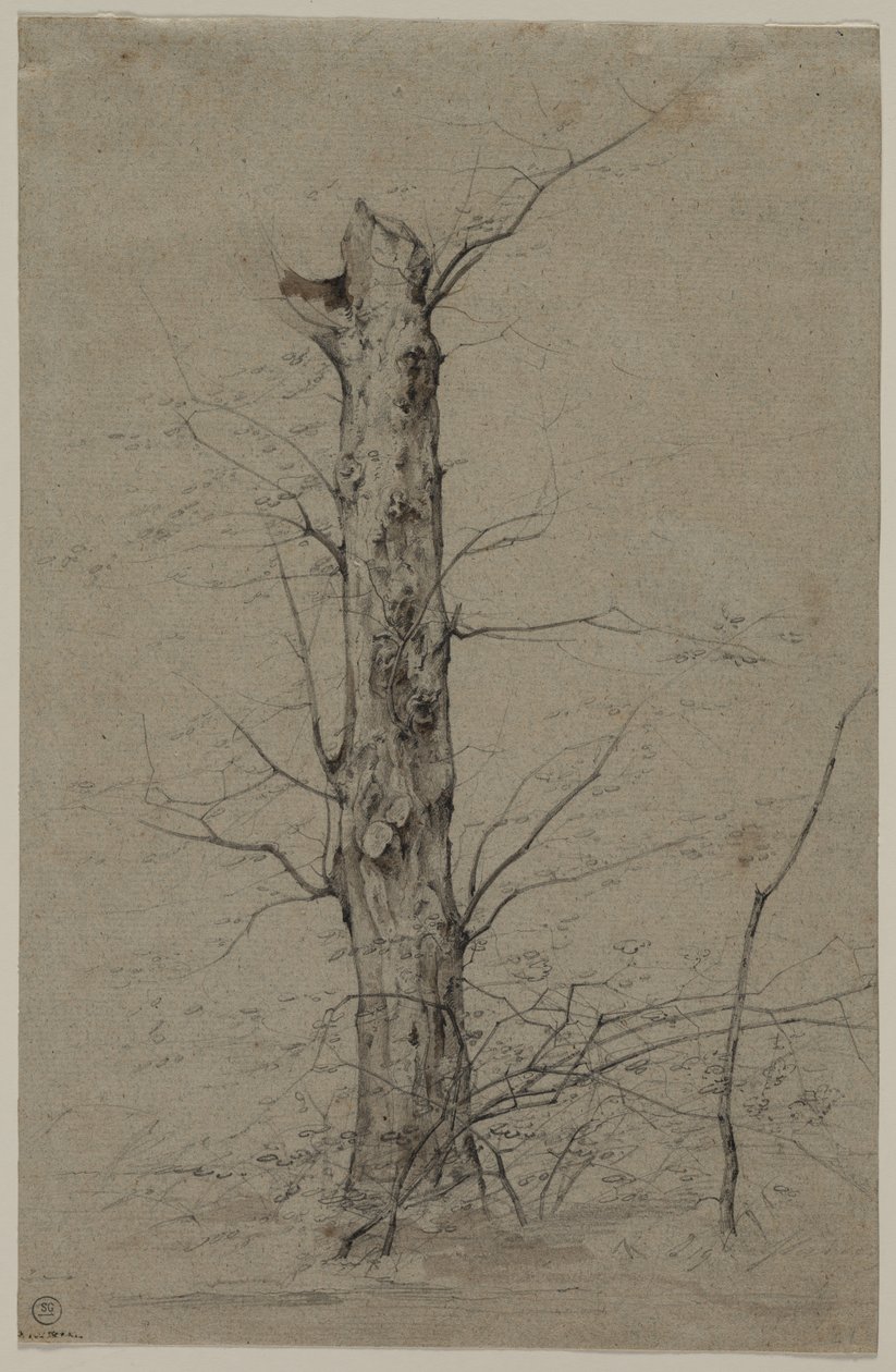 Baum von Ludwig Ferdinand Schnorr von Carolsfeld