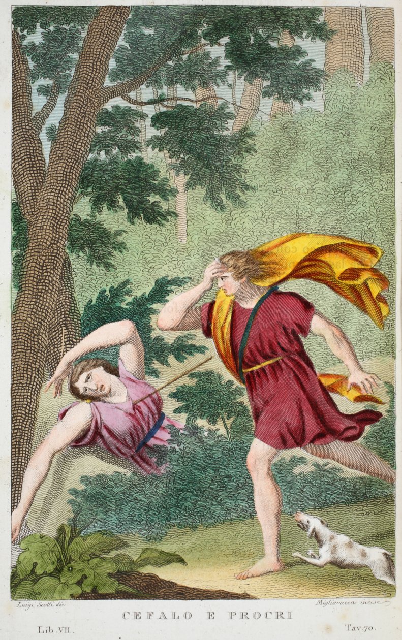 Cephalus und Procris oder Cefalo e Procri, Buch VII, Illustration aus Ovids Metamorphosen, Florenz, 1832 von Luigi Ademollo