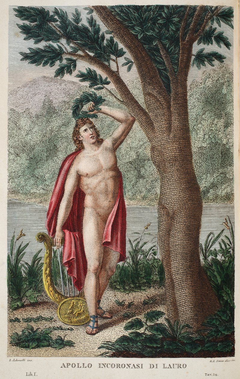Daphne in einen Lorbeer oder Apollo Incoronasi de Lauro, Illustration aus Ovids Metamorphosen, Florenz, 1832 von Luigi Ademollo