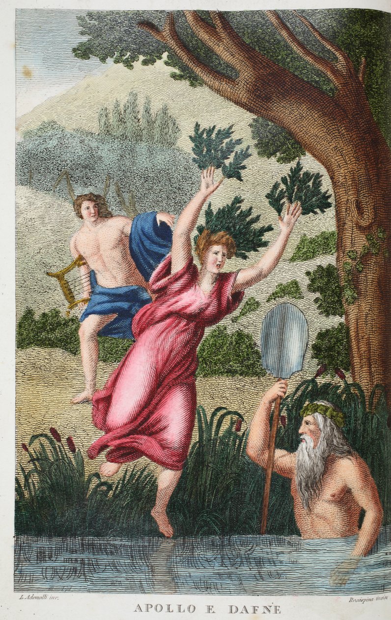 Phoebus und Daphne oder Apollo e Dafne, Illustration aus Ovids Metamorphosen, Florenz, 1832 von Luigi Ademollo