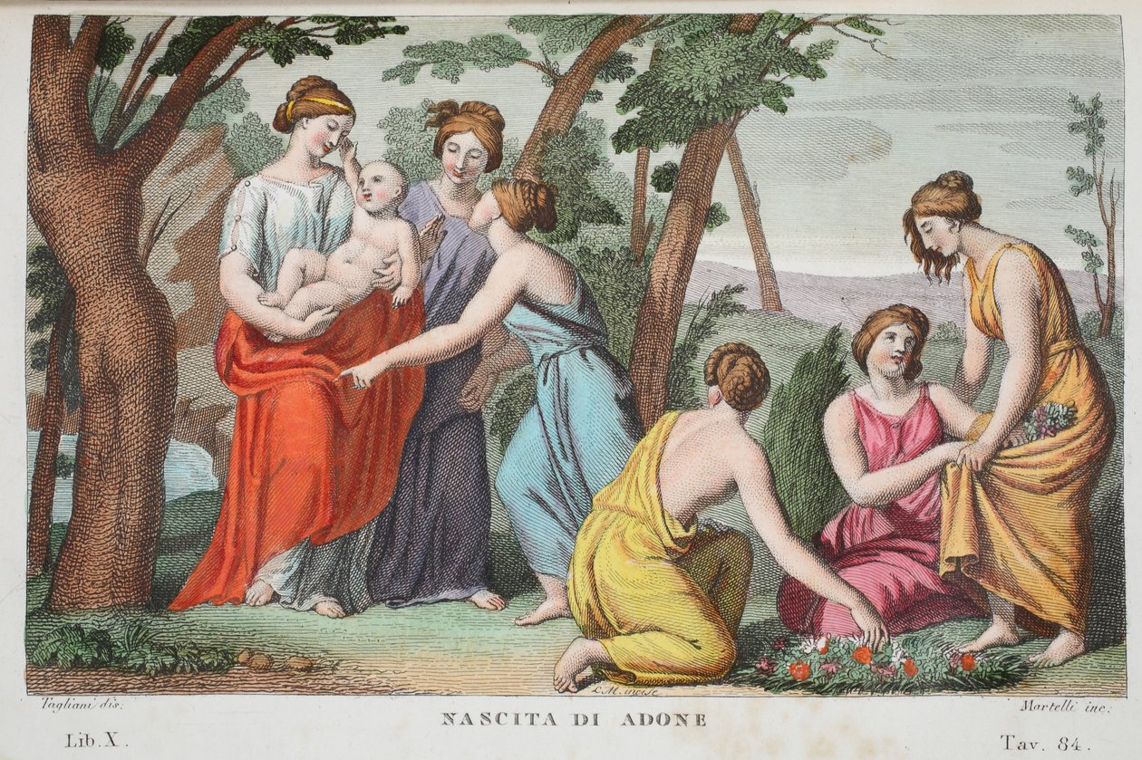 Die Geburt des Adonis, Buch X, Illustration aus Ovids Metamorphosen, Florenz, 1832 von Luigi Ademollo