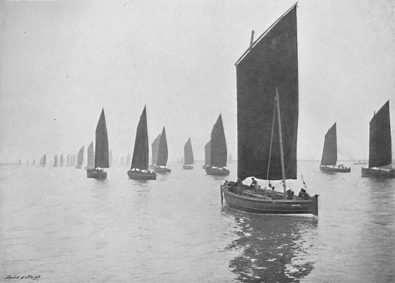 Heringsboote vor der Tyne, ca. 1896 von M. Aunty