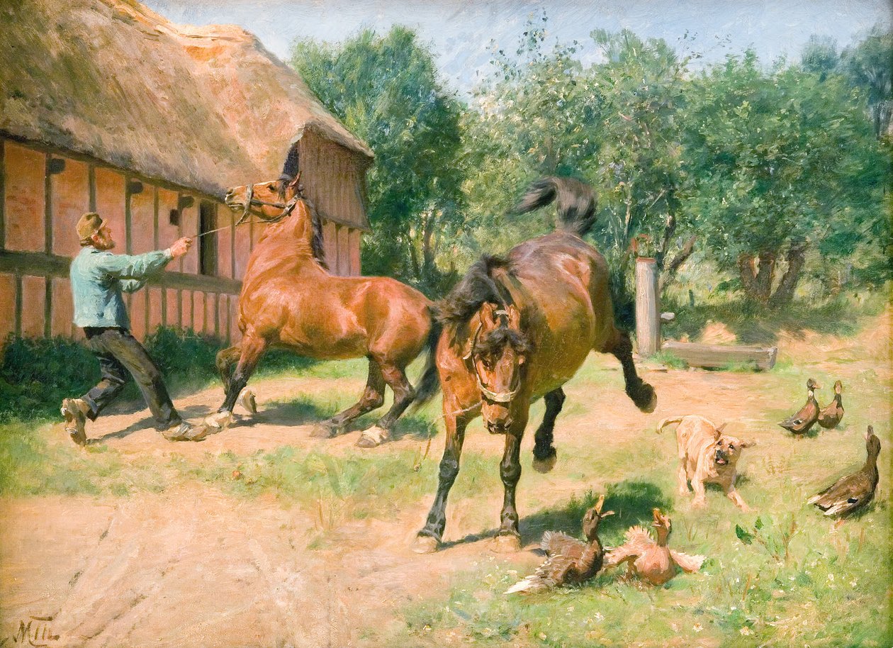 Kåde Pferde von M. Therkildsen
