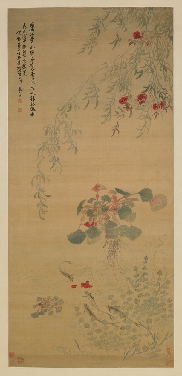 Gefallene Blumen, neugierige Fische, Qing-Dynastie, frühes 18. Jahrhundert von Ma Yuanyu