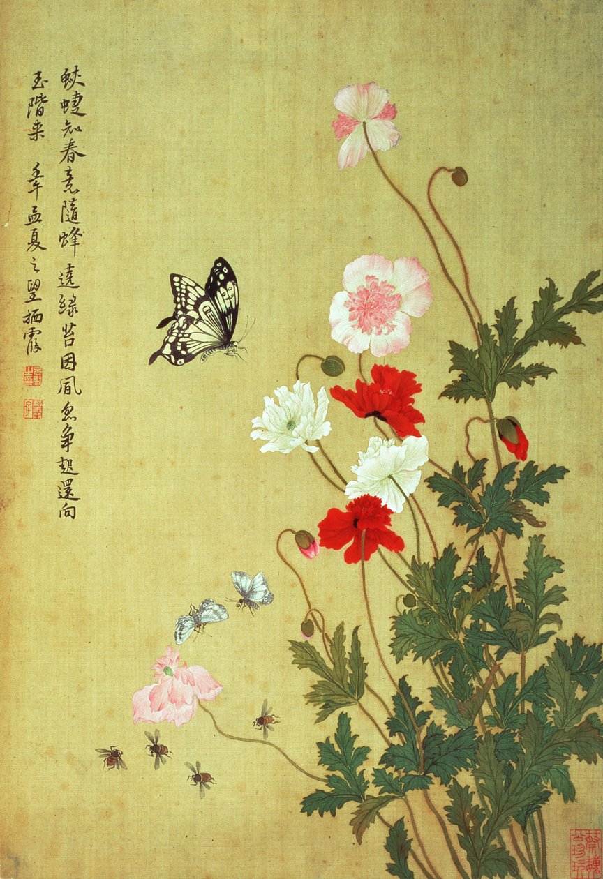 Mohnblumen, Schmetterlinge und Bienen von Ma Yuanyu