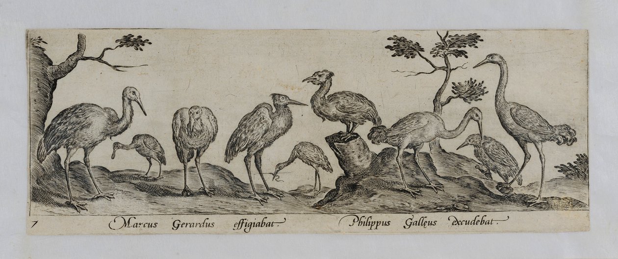 Alte Meister Gravur von Marcus Gheeraerts