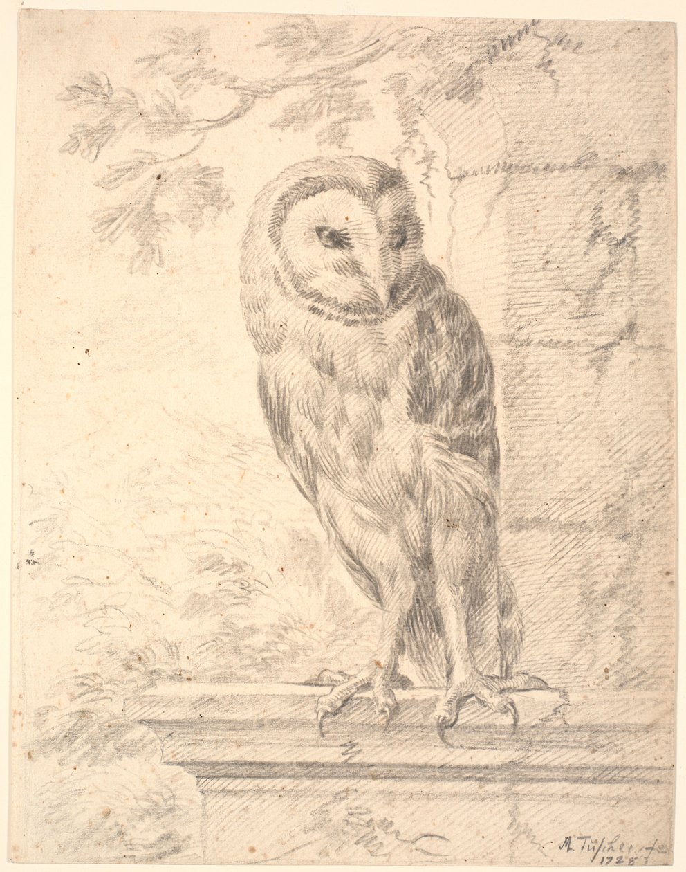 Baron von Stoschs Eule von Marcus Tuscher