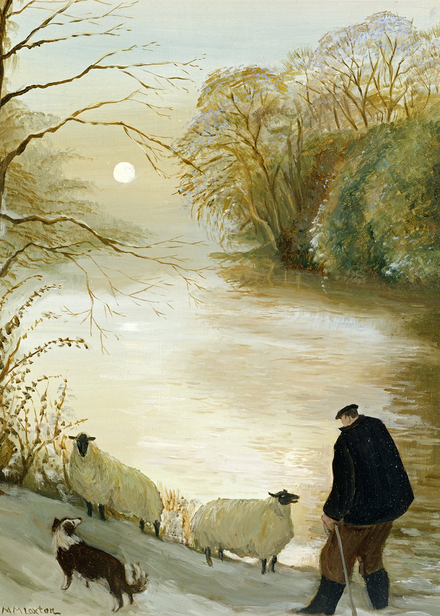 Das verirrte Schaf von Margaret Loxton