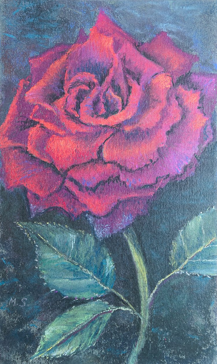 Schönheit der Rose. von Margo Starkey