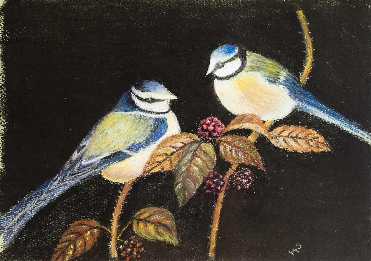 Blaumeisen beim Festmahl, 2021 von Margo Starkey
