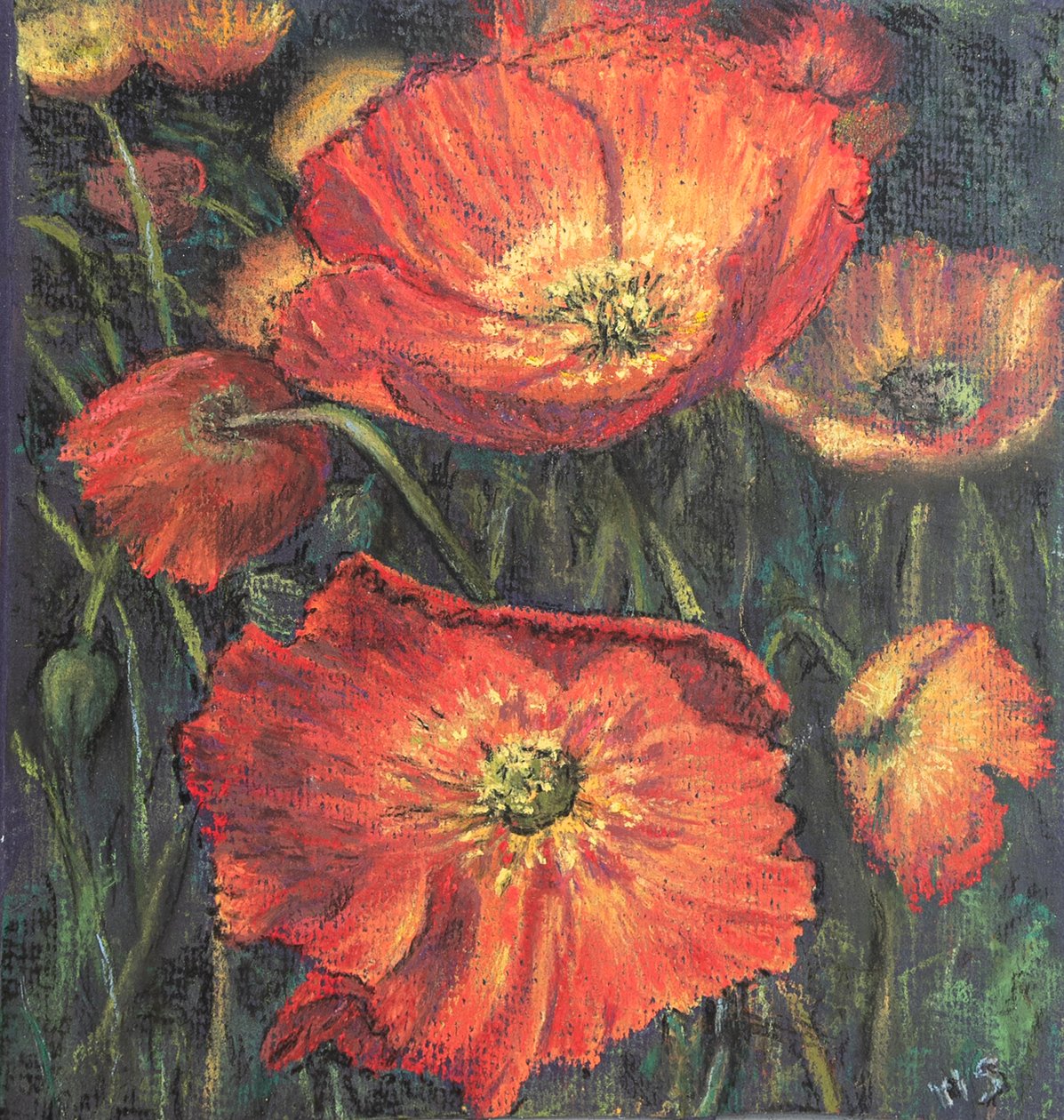 Erste Mohnblumen. von Margo Starkey