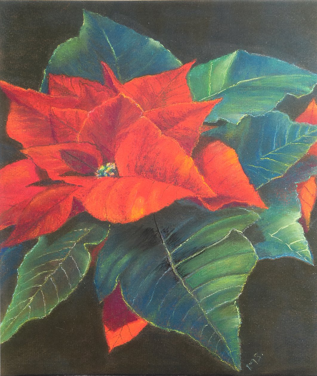Weihnachtsstern, 2022 von Margo Starkey