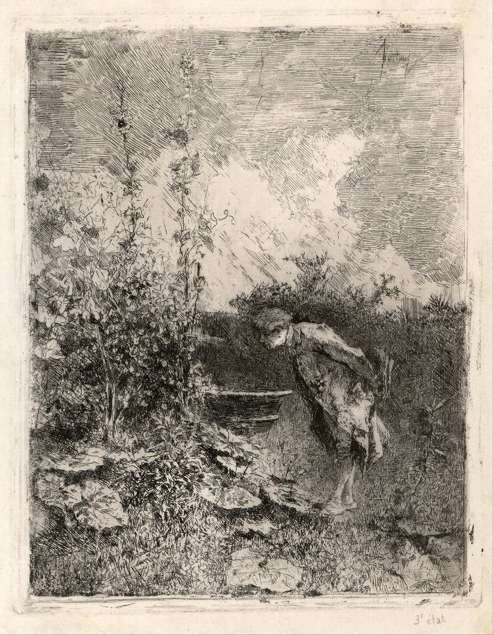 Der Botaniker von Marià Fortuny Marsal