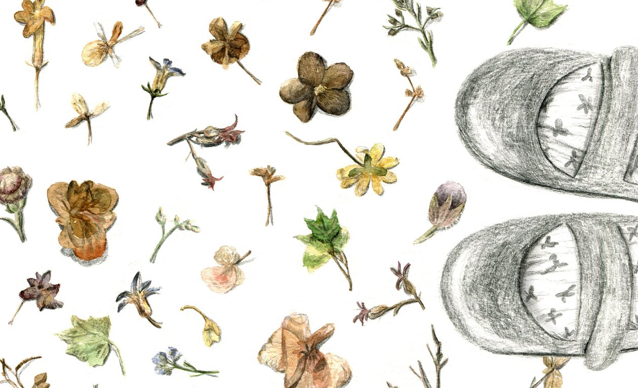 Gepresste Blumen, 2020 von Maria Basea