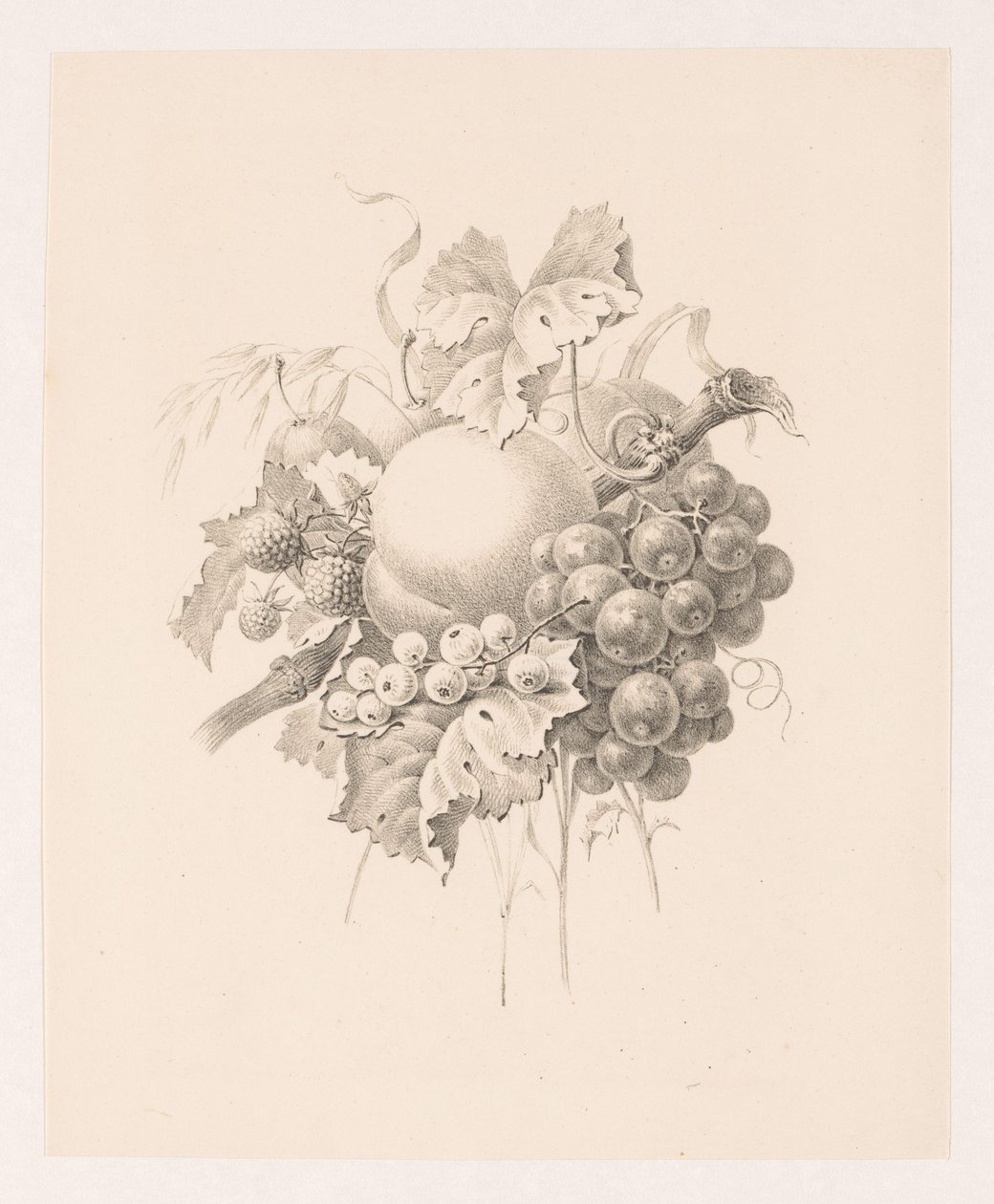 Komposition von Früchten von Maria Geertruida de Goeje Barbiers (attributed to)