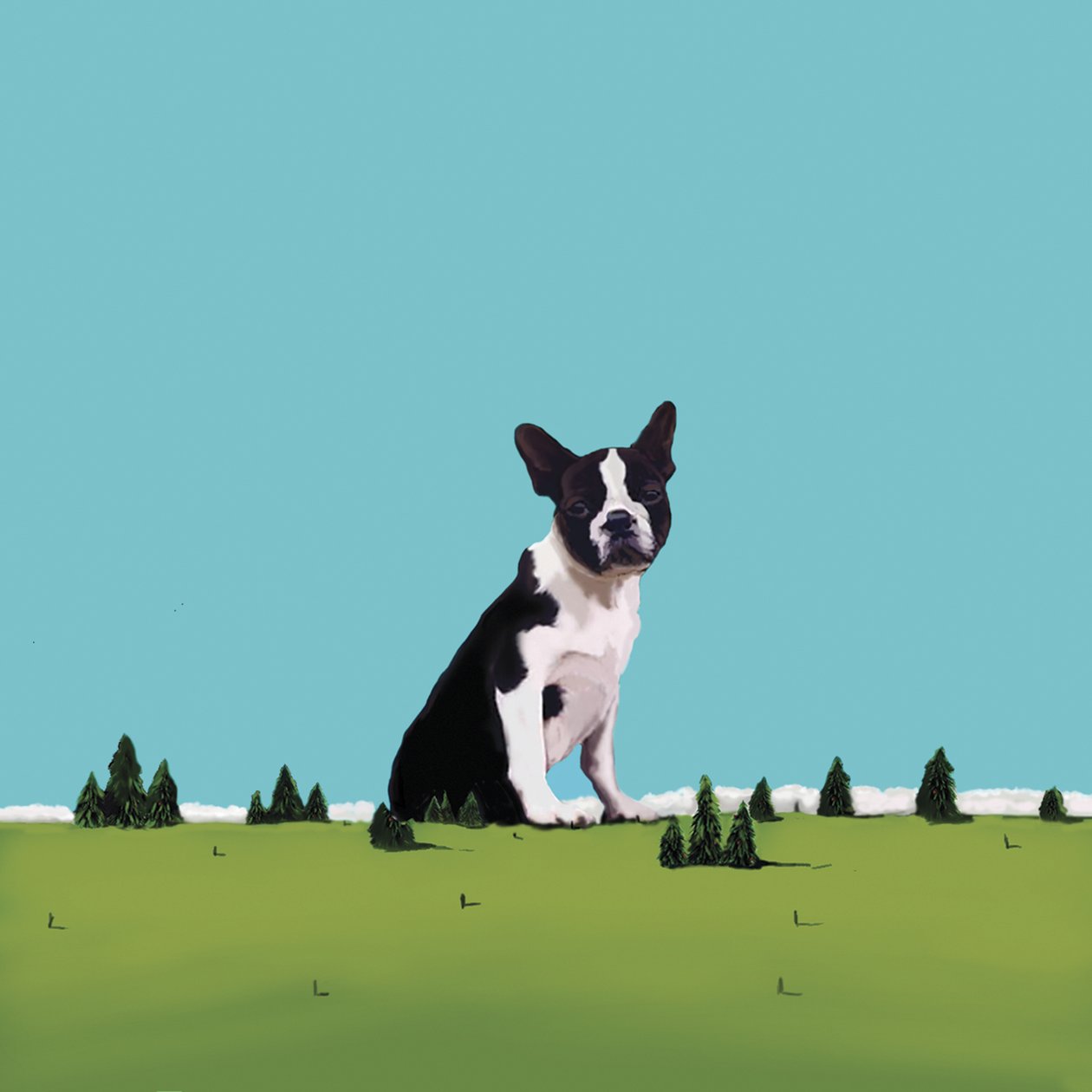 Boston Terrier von Marjorie Weiss