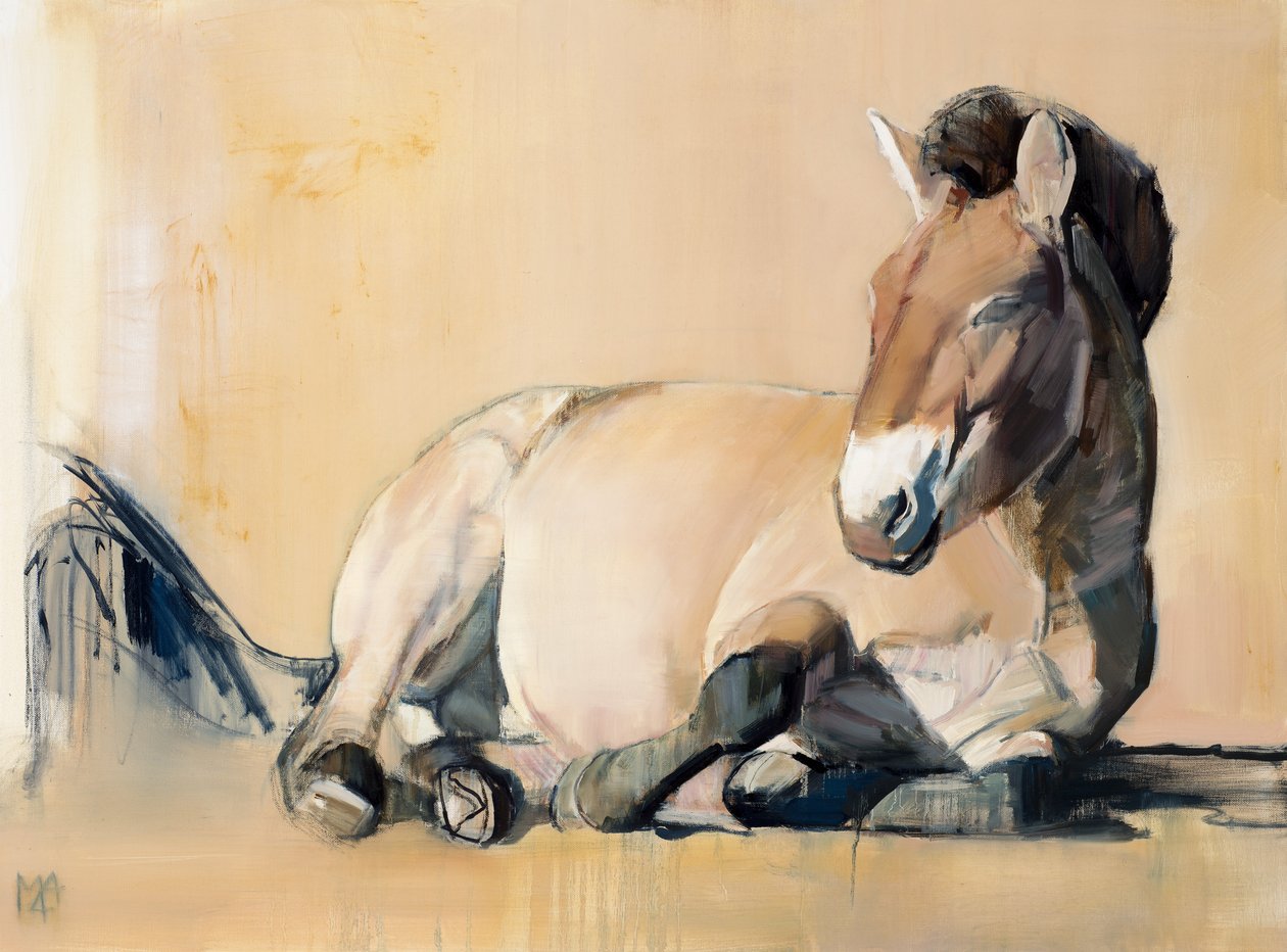 Plateau-Sonne (Przewalski), 2014 von Mark Adlington