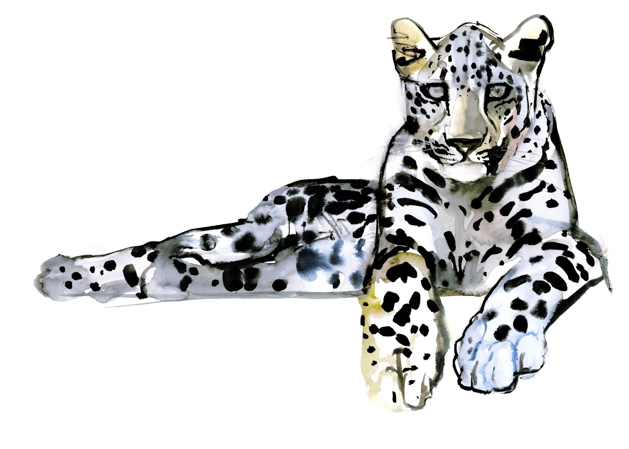 Arabischer Leopard, 2008 von Mark Adlington