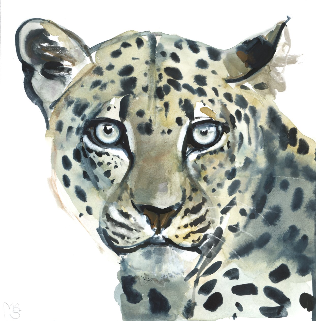 Leopard, 2015 von Mark Adlington