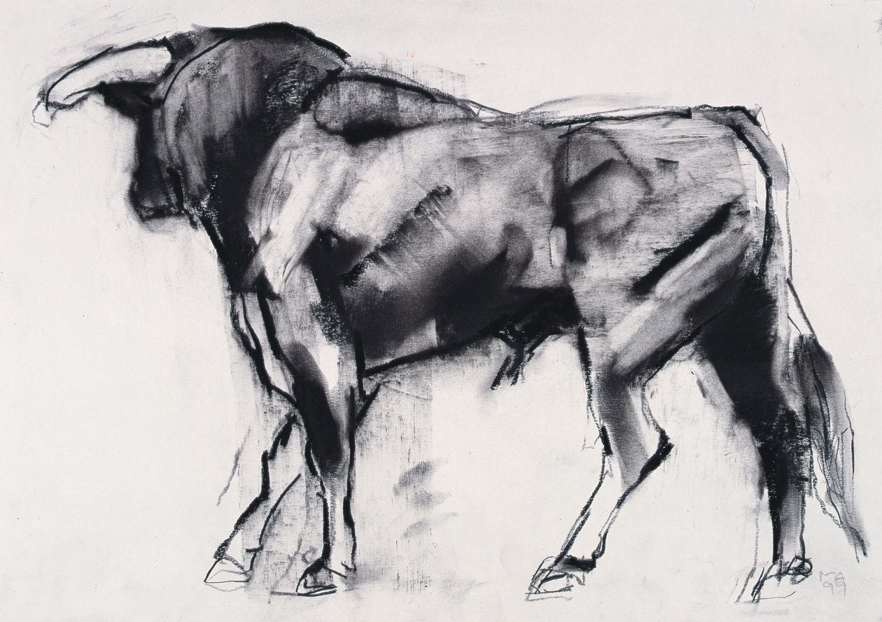 Toro Azul, Studie von Mark Adlington
