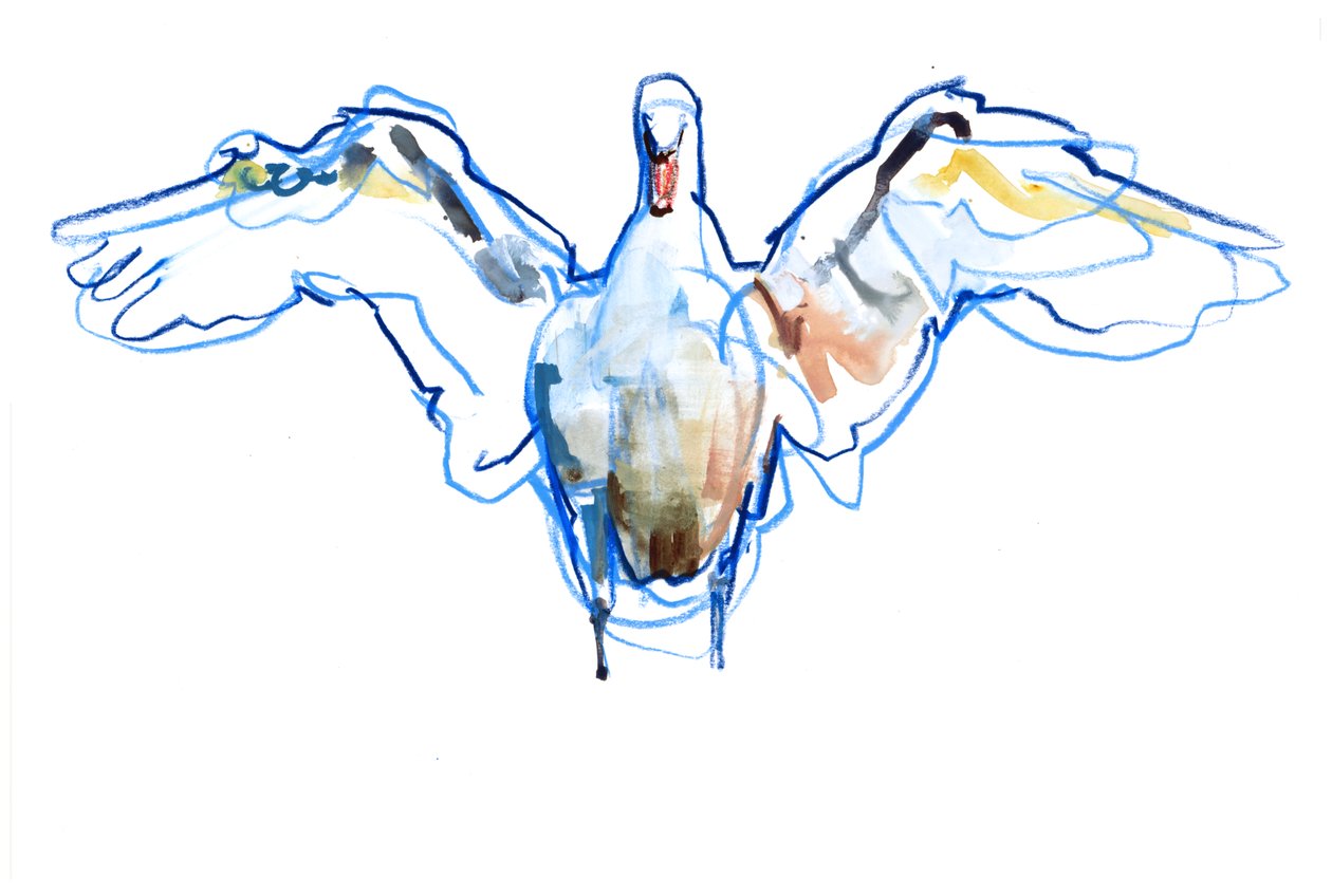 Ausgebreitete Flügel, 2022 von Mark Adlington