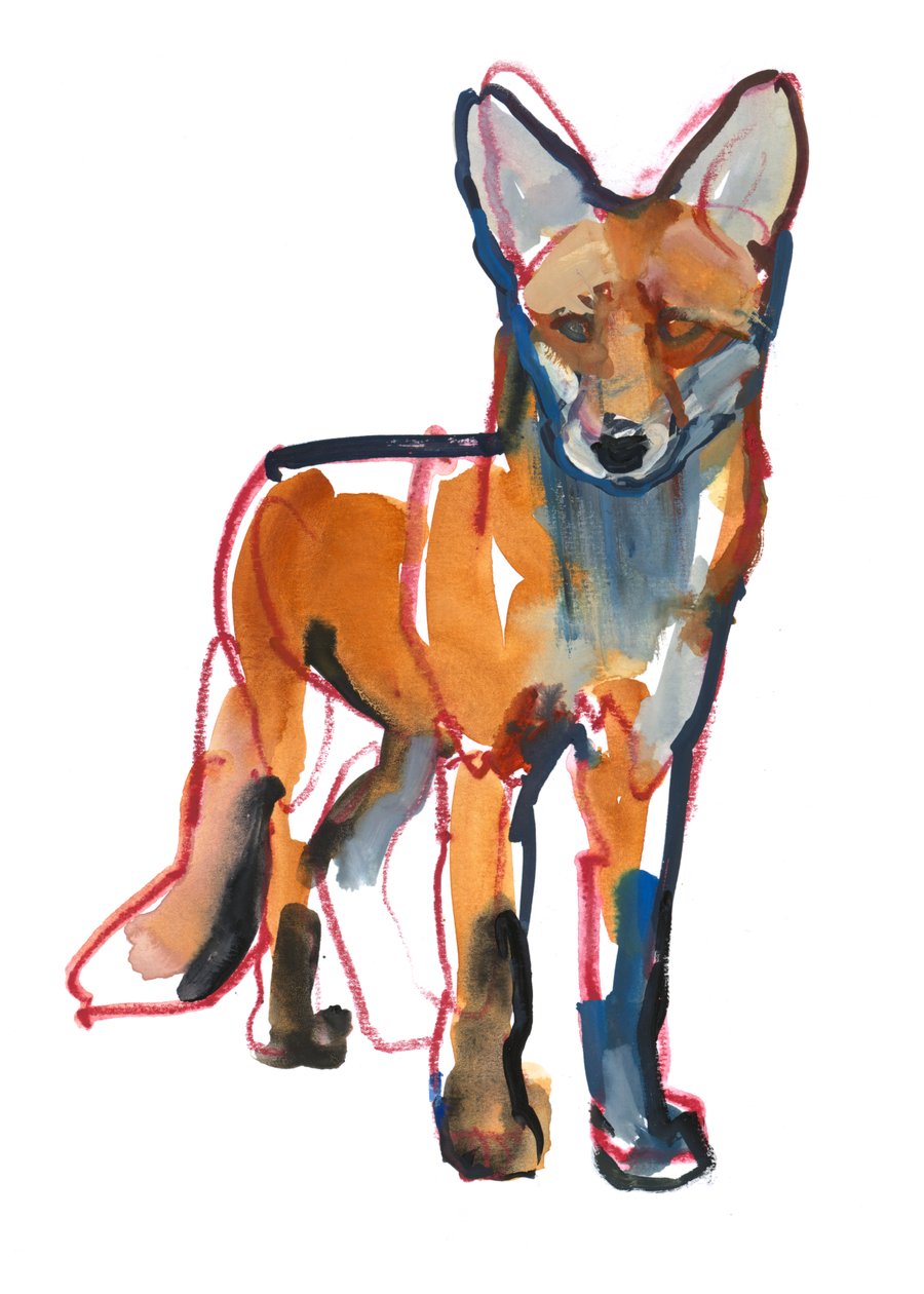 Junger Fuchs, 2021 von Mark Adlington