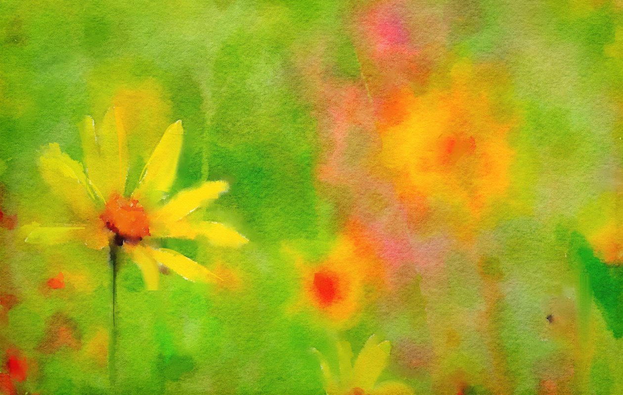 Nach dem Regen, ein Sommertag von Mark Gordon