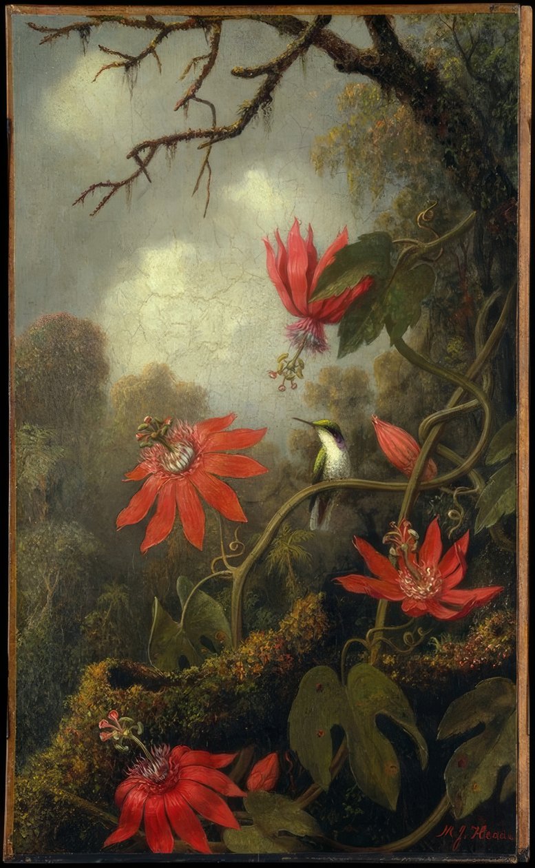 Kolibri und Passionsblumen von Martin Johnson Heade