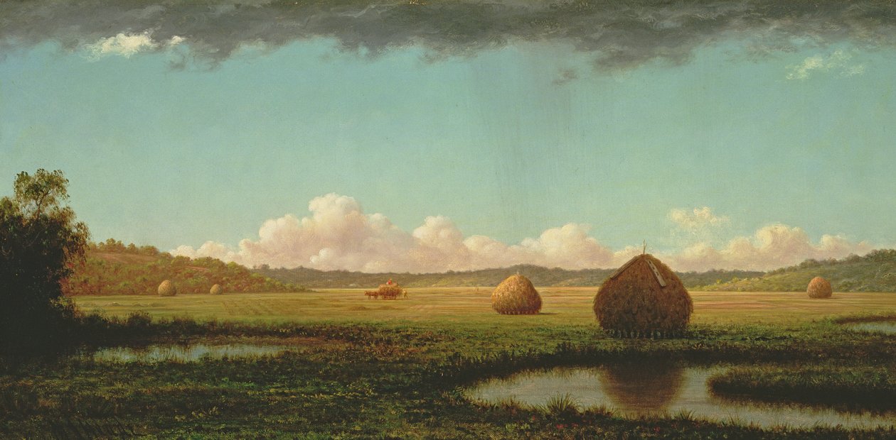 Sommerschauer, ca. 1862-63 von Martin Johnson Heade