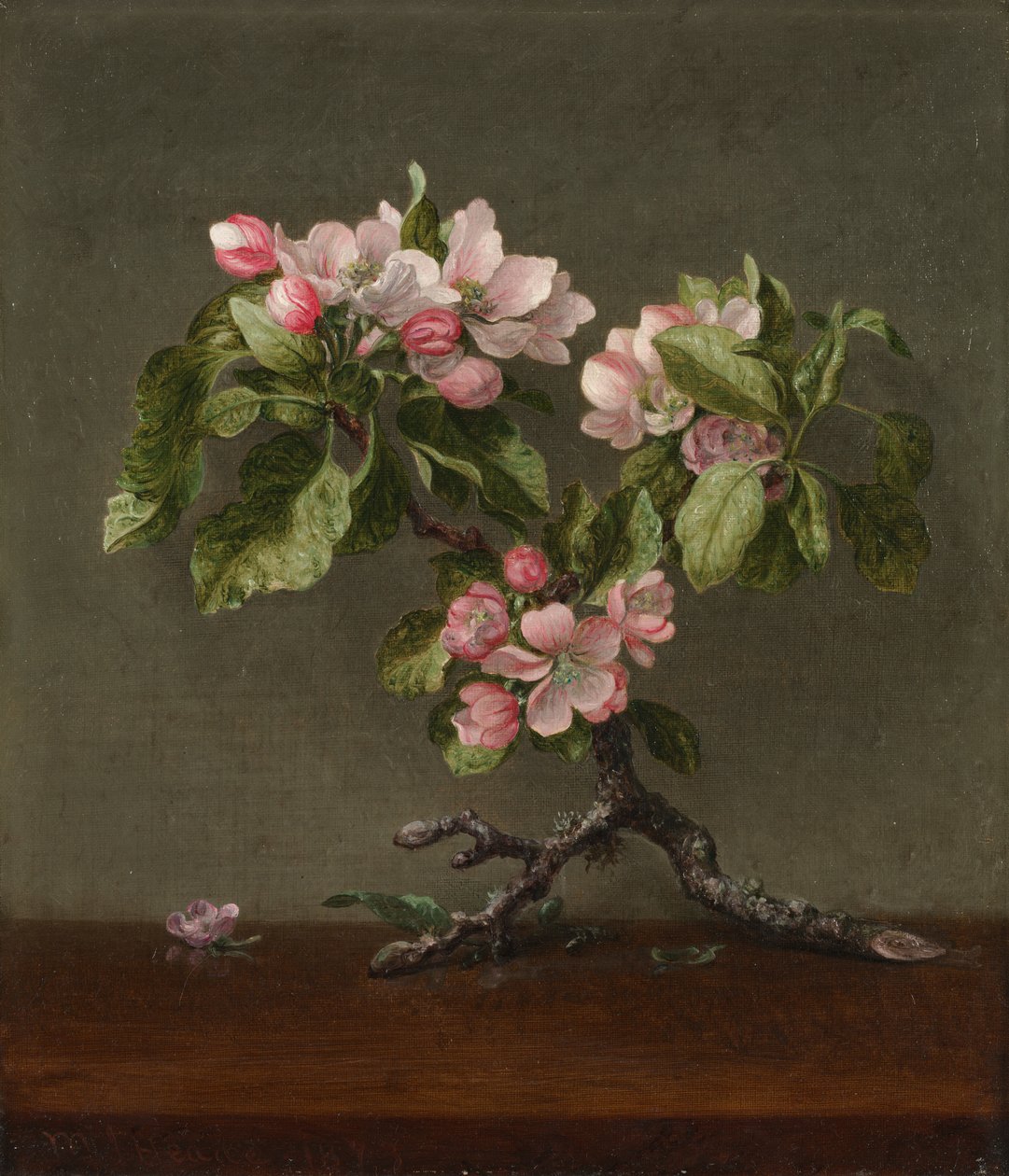 Apfelblüten, 1873 von Martin Johnson Heade