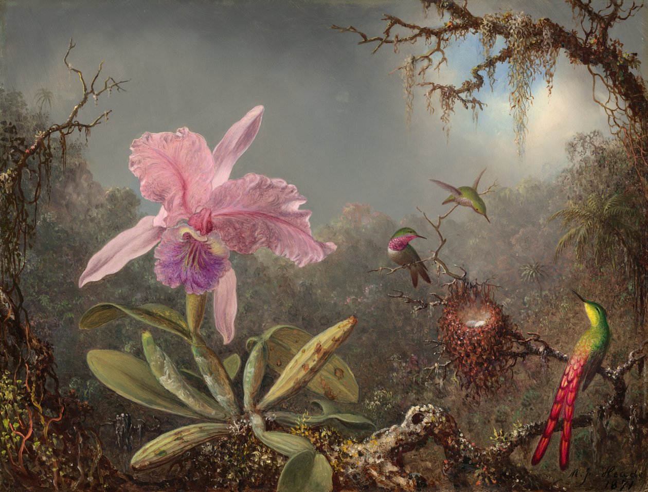 Cattleya-Orchidee und drei Kolibris von Martin Johnson Heade