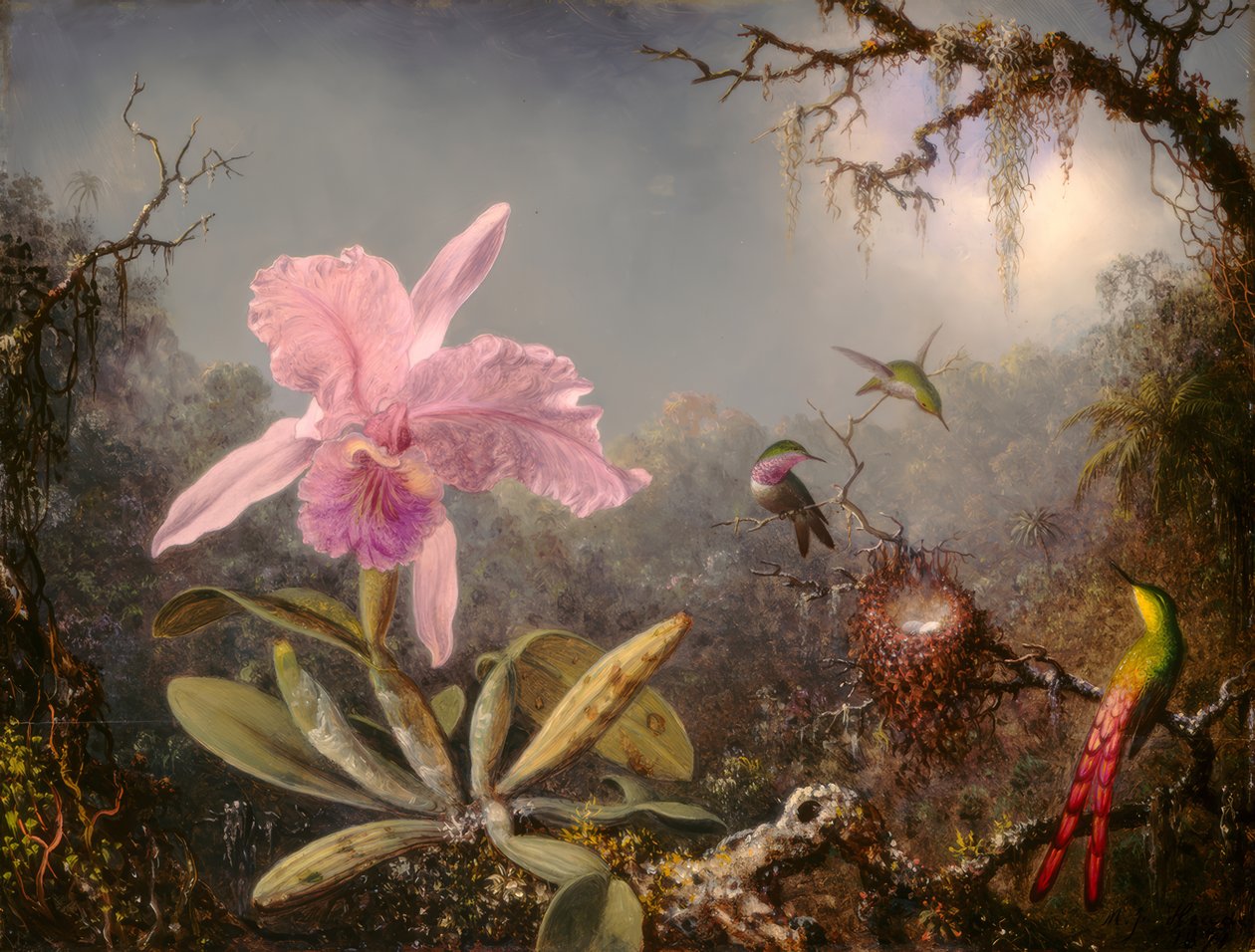Cattleya-Orchidee und drei Kolibris von Martin Johnson Heade