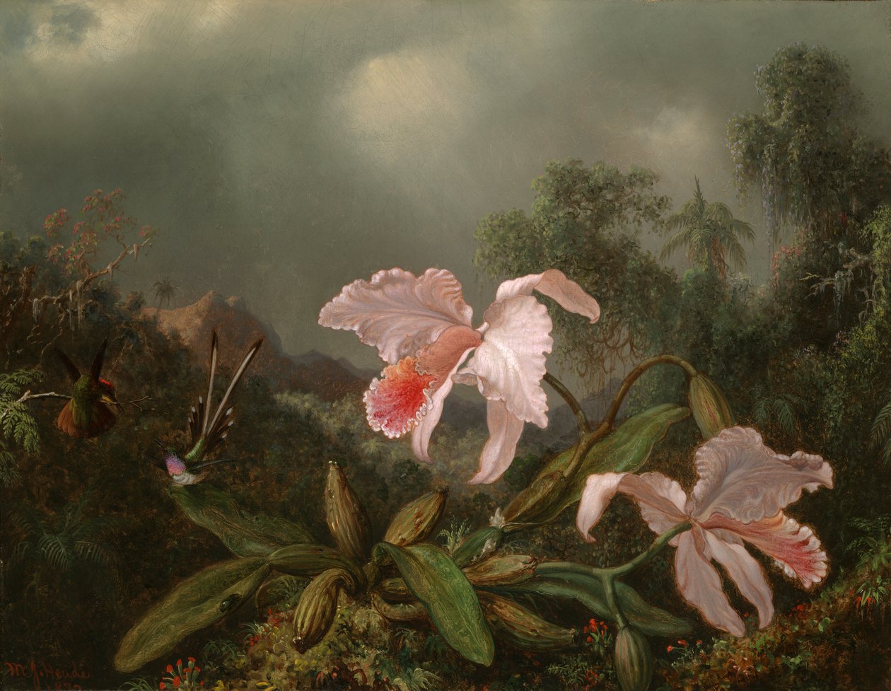 Dschungel-Orchideen und Kolibris von Martin Johnson Heade