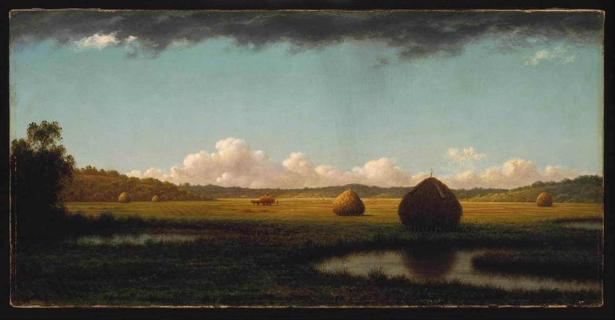 Sommerschauer von Martin Johnson Heade