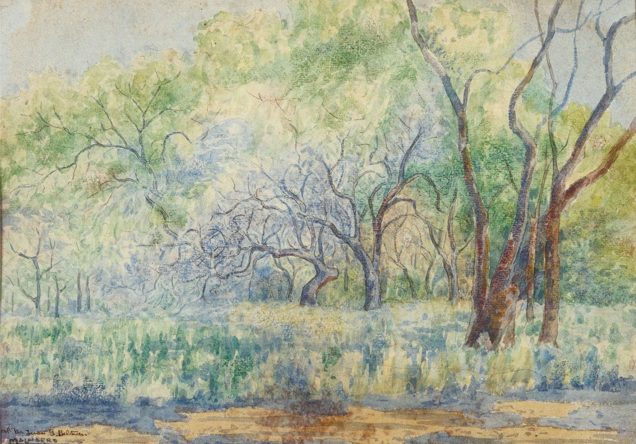 Landschaft von Martín Malharro