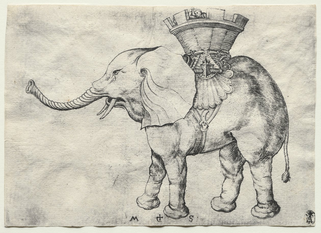 Ein Elefant mit Howdah von Martin Schongauer