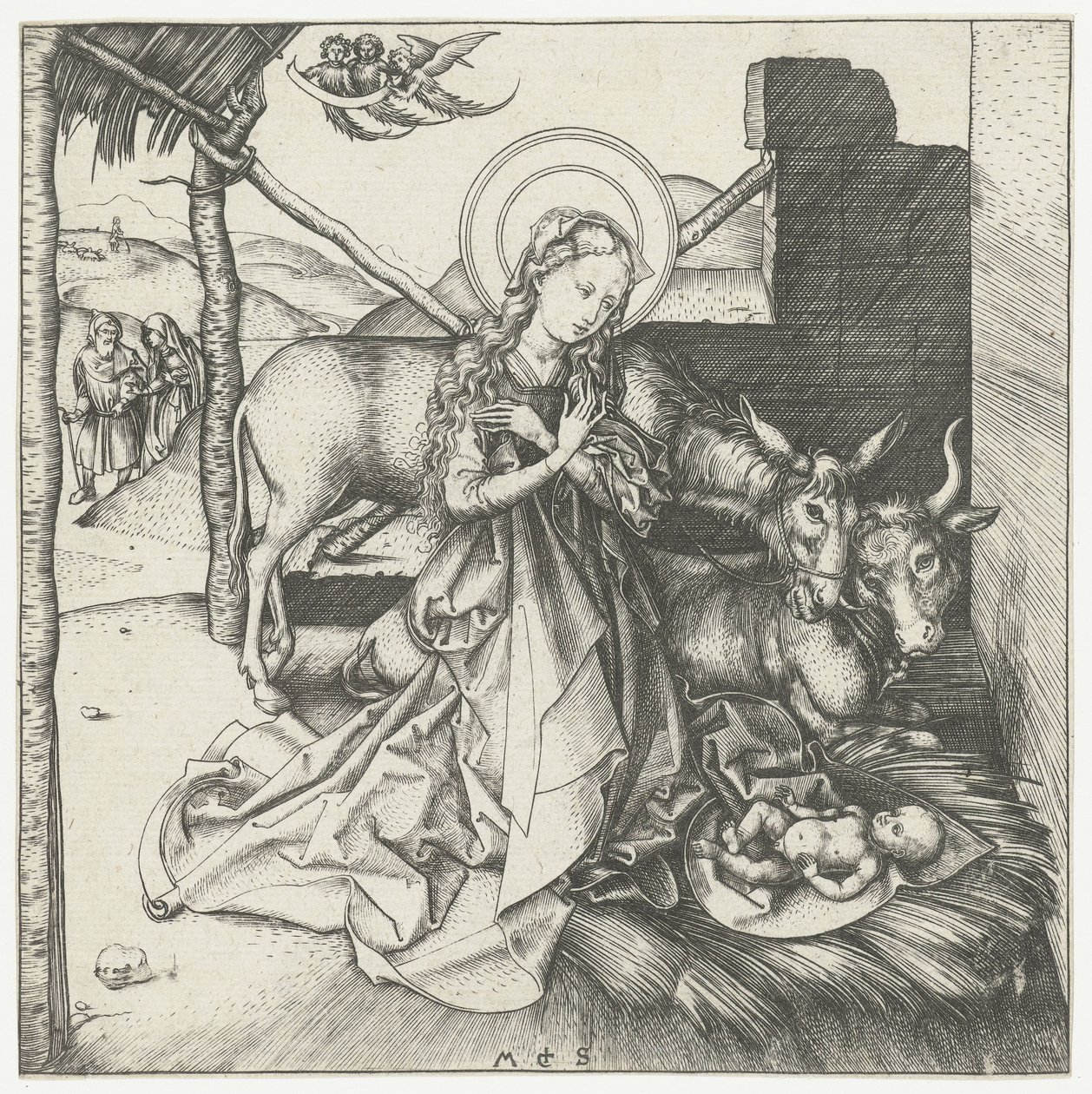 Die Geburt Christi von Martin Schongauer
