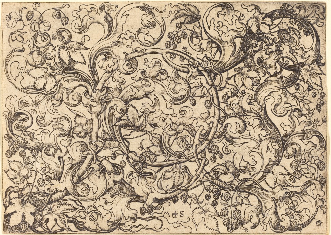Ornament mit Hopfenranke von Martin Schongauer