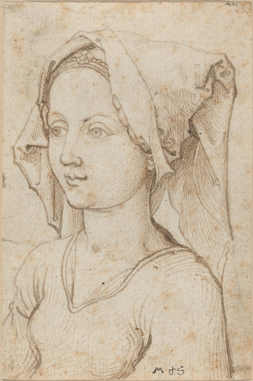 Junge Frau mit Schal von Martin Schongauer