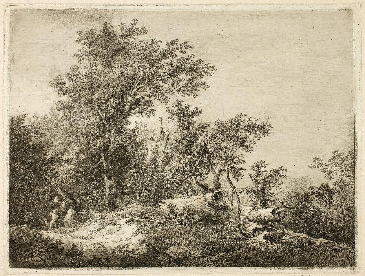 Der gefallene Baumstamm von Martin von Molitor