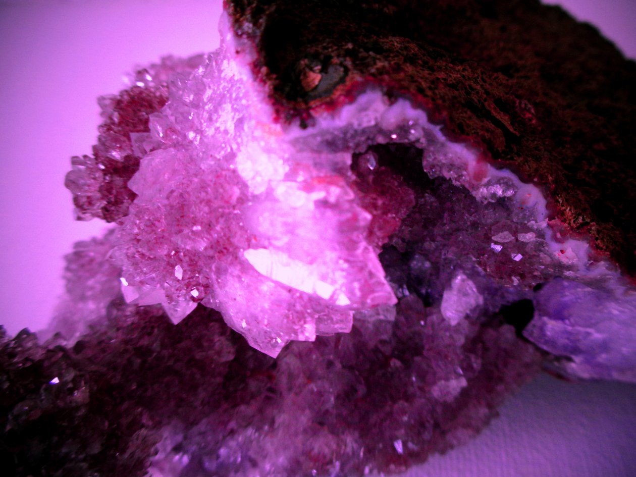 Amethyst von Martina Konitzky