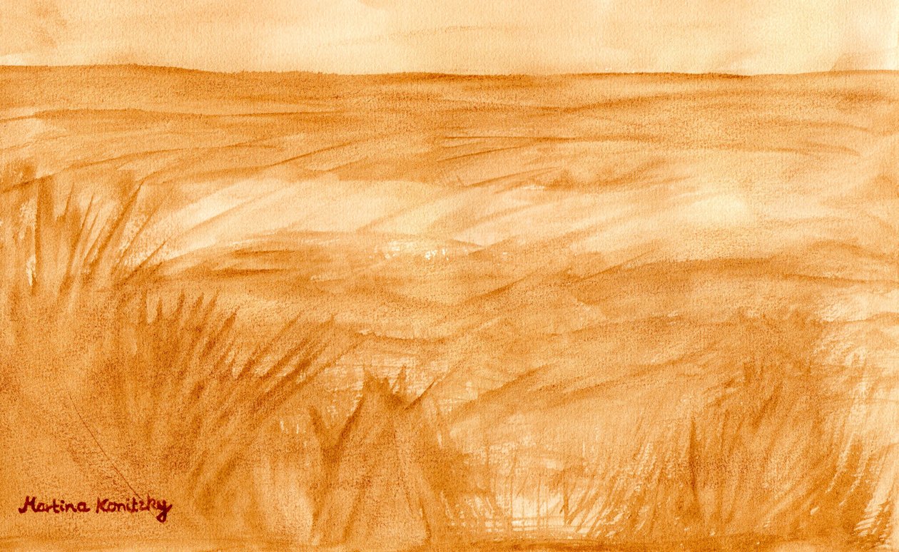 Sommerfelder von Martina Konitzky