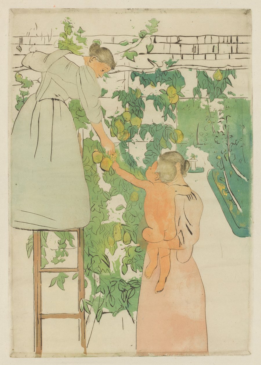 Obsternte, ca. 1893 von Mary Cassatt