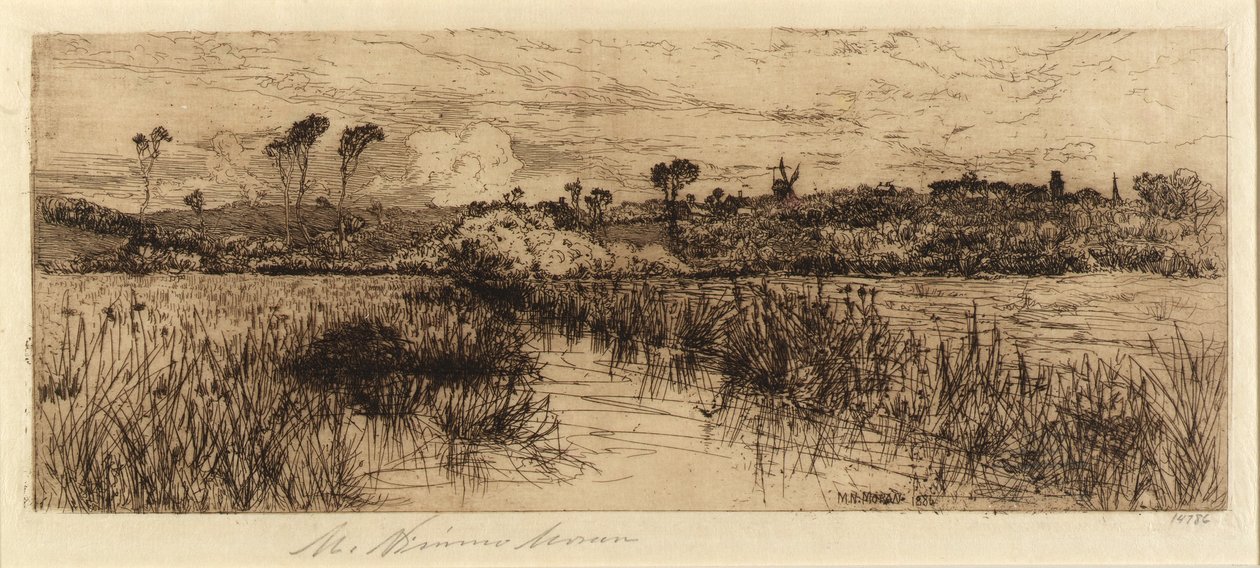 Heimat des Bisamrats von Mary Nimmo Moran