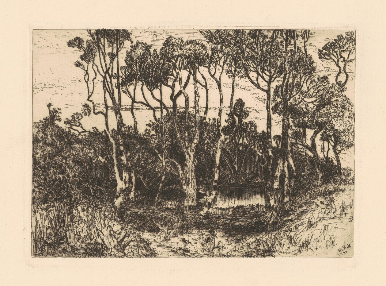 Einsamkeit von Mary Nimmo Moran