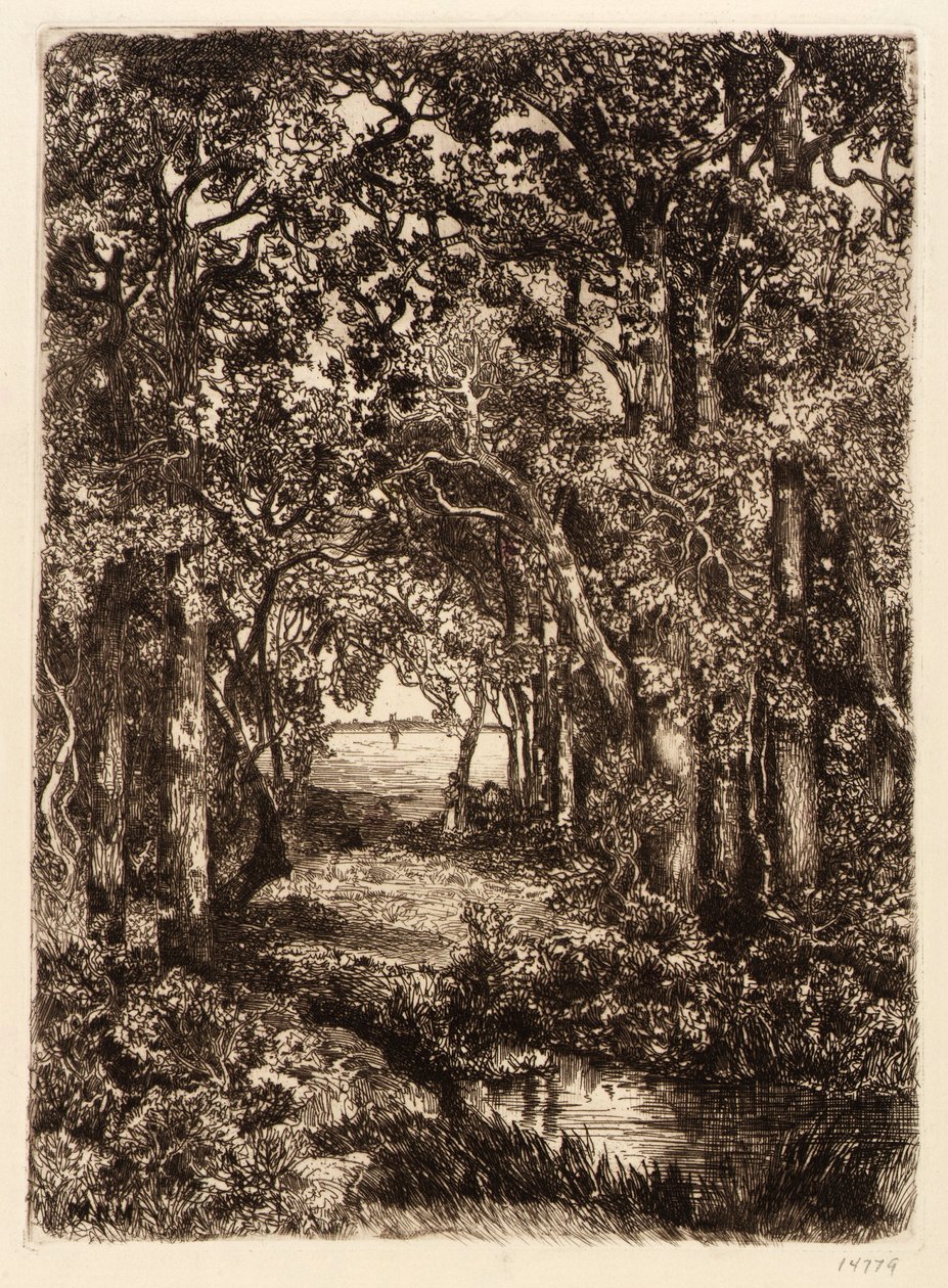 Das Meer durch den Wald von Mary Nimmo Moran