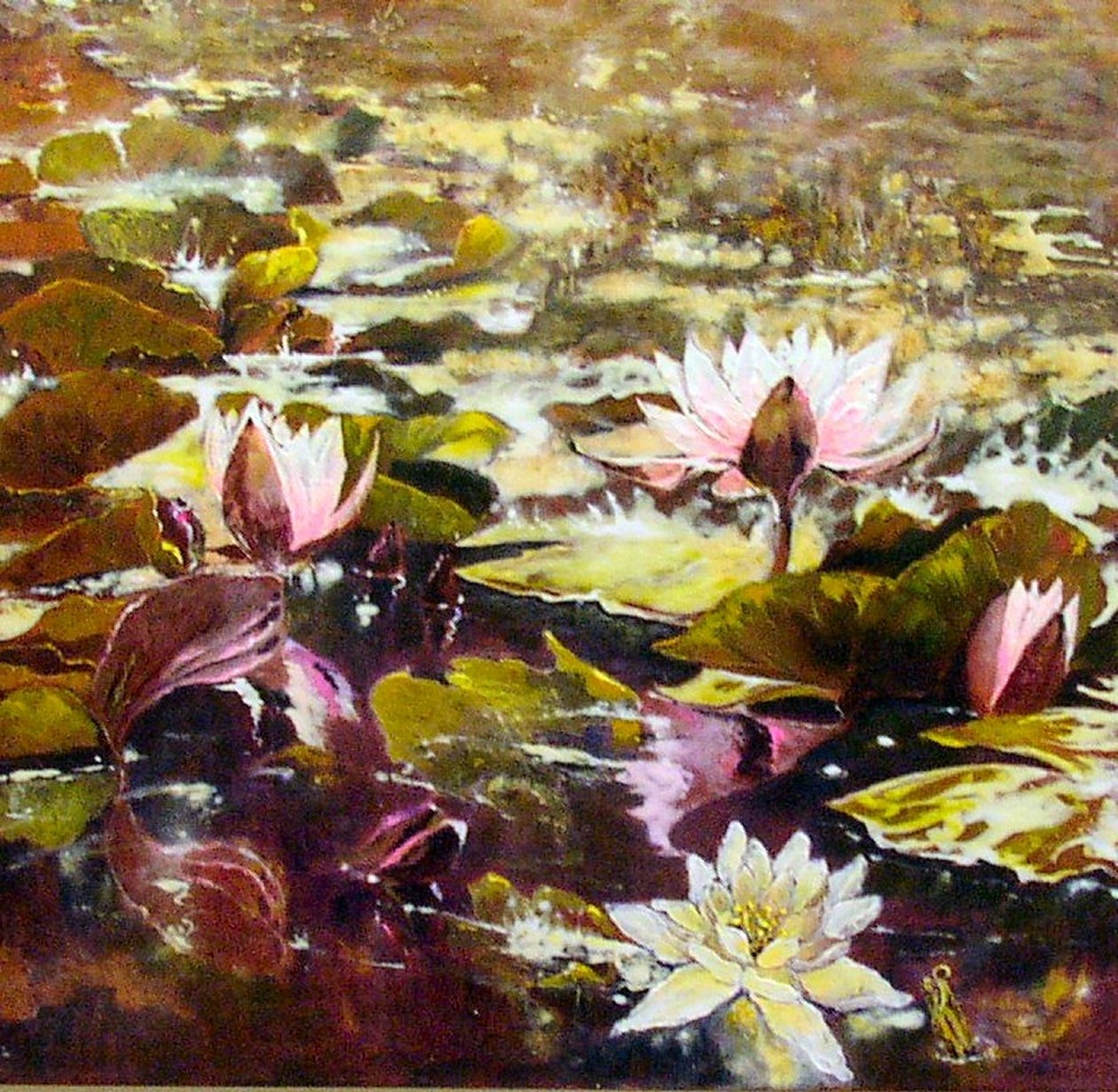 Lilien in den Melbourne-Gärten von Mary Smith
