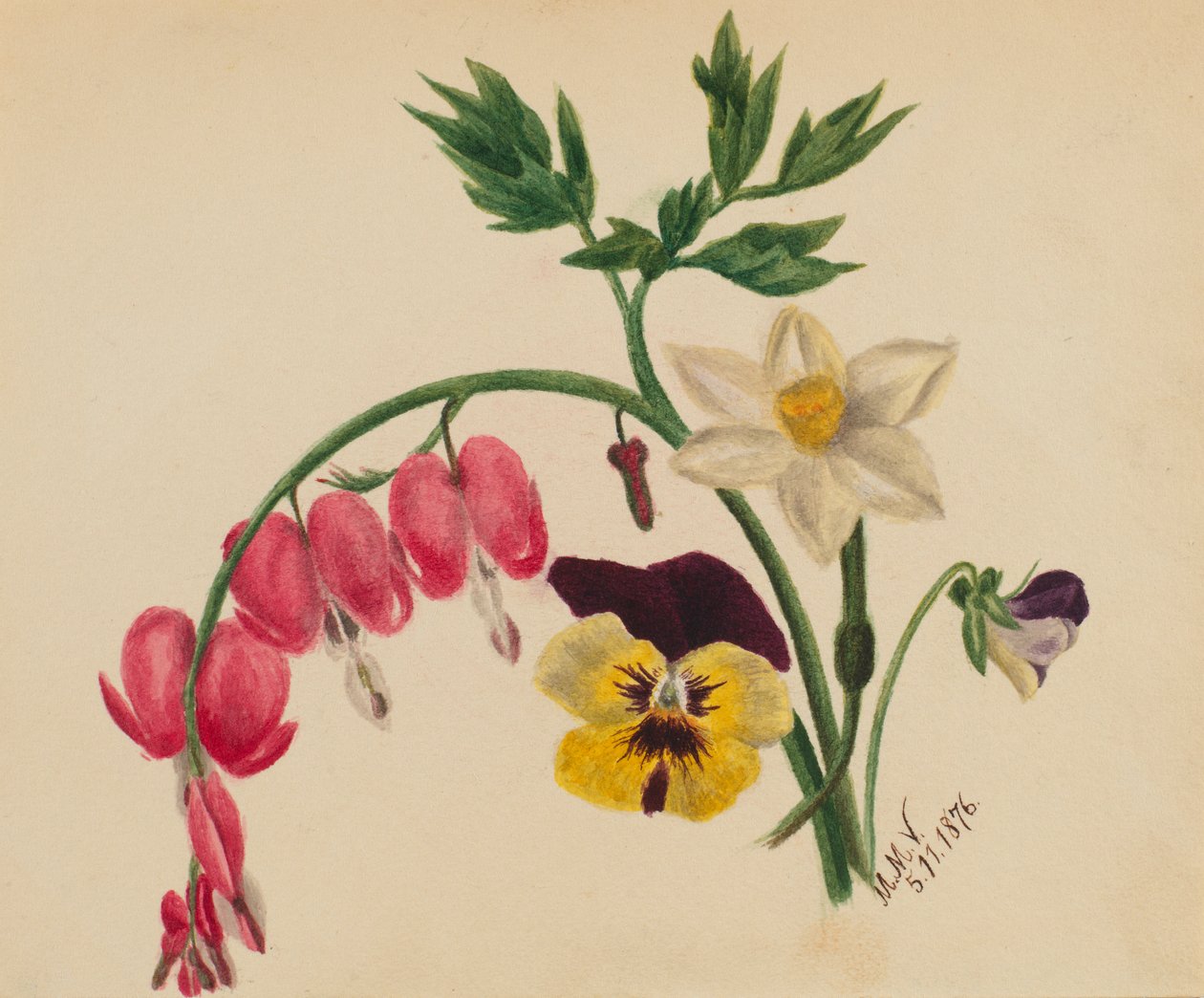 (Ohne Titel--Gemischte Blumen) von Mary Vaux Walcott