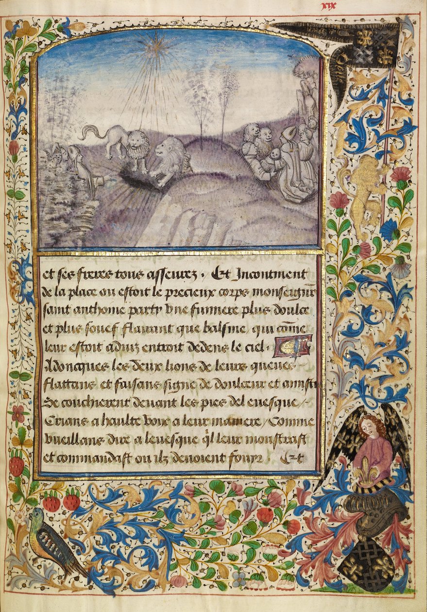 Bischof Theophilus findet das Grab des heiligen Antonius von Master of the Brussels Romuléon or workshop